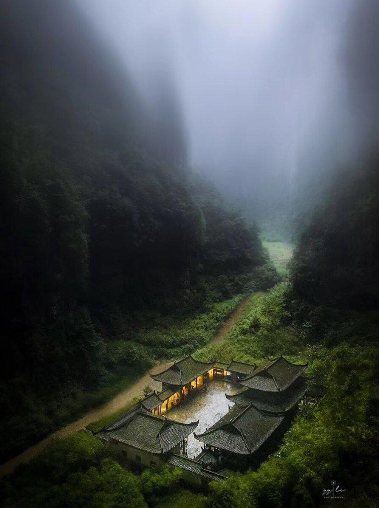 逃离白鸽之森
